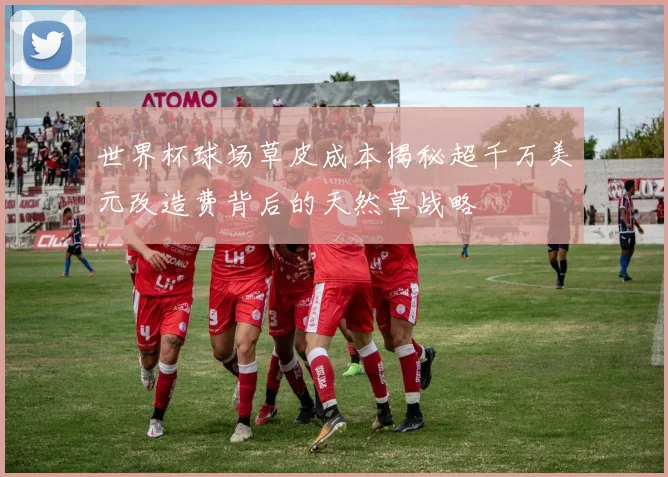 世界杯球场草皮成本揭秘超千万美元改造费背后的天然草战略